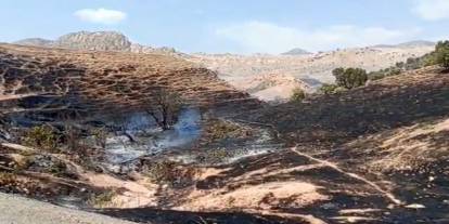 Silopi'de tarım arazilerinde yangın çıktı