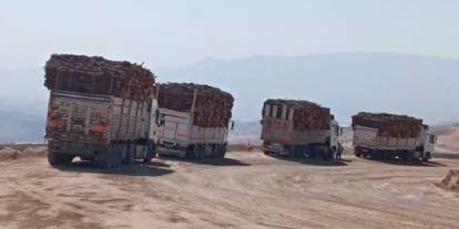 Şırnak Barosu’ndan Ağaç Kesimlerine Suç Duyurusu