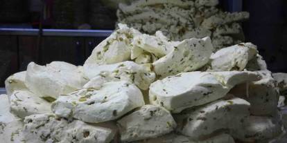 Van’da otlu peynirde tuz oranı dengelenmesi amacıyla çalışma başlatıldı