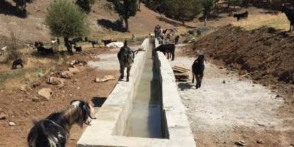 Şırnak’ta 12 Köye 45 Hayvan Sulağı