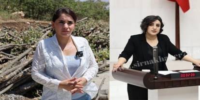 DEM Parti Milletvekilleri, Şırnak ve Siirt’teki Orman Kesimlerini Bakan Kurum’a Sordu