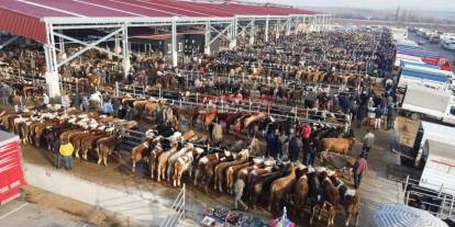 Tarım Orman Bakanı Yumaklı Açıkladı: Hayvan Pazarları Açılıyor