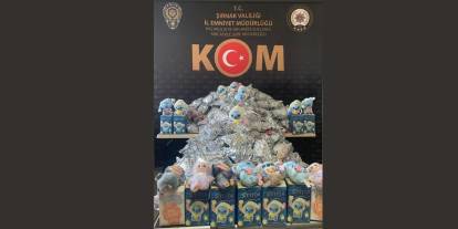 Şırnak'ta Narkotik ve Kaçakçılık Operasyonu: 29 Gözaltı