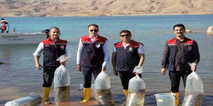 Şırnak’ta Balıkçılığa Büyük Destek: Ilısu Barajı’na 900 Bin Yavru Sazan Bırakıldı