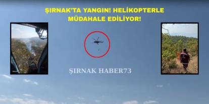 Şırnak Besta'da Yangın: Havadan ve Karadan Müdahale Ediliyor