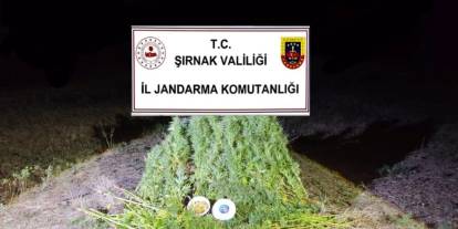 Şırnak'ta Jandarma’dan 22 Milyon 861 Bin TL’lik Kaçakçılık Operasyonu