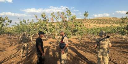 Siirt’te fıstık hasadı yaklaşmasıyla jandarma güvenliği üst seviyeye çıkardı