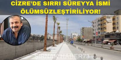 Cizre Belediyesi'nden Anlamlı Karar: O Caddeye Sırrı Süreyya Önder İsmi Verildi