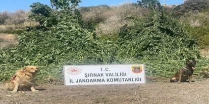 Şırnak’ta 11 Milyon Liralık Uyuşturucu ve Kaçak Malzeme Ele Geçirildi