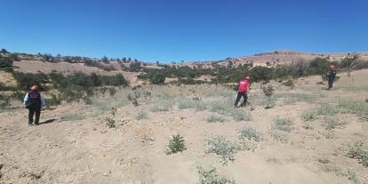 Siirt'te 14 gündür kaybolan yaşlı adam Bitlis’te de aranıyor