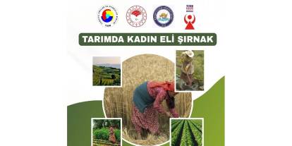 Şırnak’ta “Tarımda Kadın Eli” Etkinliği: Bütün Kadınlar Davet Edildi