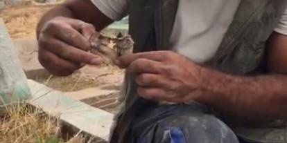 Diyarbakır’da mezarlıktan kefenlenmiş oyuncak bebek çıktı