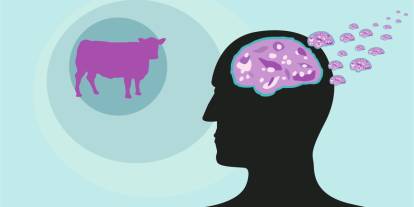 “Beyni Süngere Çeviren” Tehdit: Deli Dana Hastalığı Geri Mi Dönüyor?