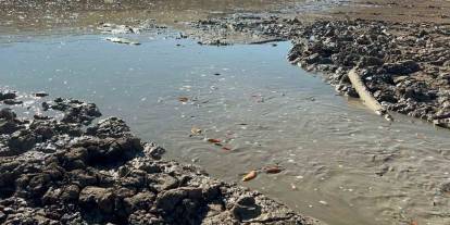 Siirt’te Balık Teleflerine Karşı Gölete 150 Tonluk Su Takviyesi