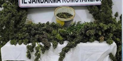 Mardin’de uyuşturucu operasyonunda 3 kişi yakalandı