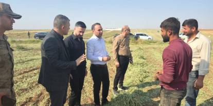 Silopi Kaymakamı Partal, Fıstık Hasadı Yapan Çiftçileri Ziyaret Etti