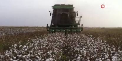 Üzerine pamuk dökülen 19 yaşındaki genç hayatını kaybetti