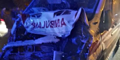 Hasta taşıyan ambulans yolda mandaya çarptı