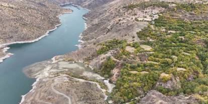 Diyarbakır'da Bu Köy Karadeniz ve Akdeniz İklimini Yaşıyor: Portakal, Fındık ve Limon Yetiştiriliyor