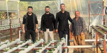 Uludere’de Topraksız Tarımla Üretilen Marullar Dikkat Çekti