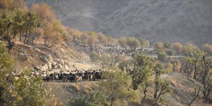 Van’dan Şırnak’a 40 Gün Süren Göçerlerin Zorlu Yolculuğu