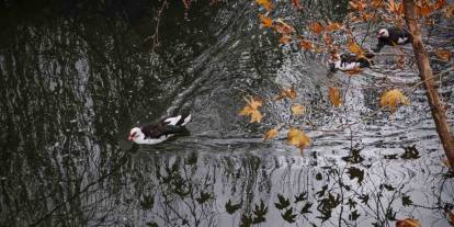 Savur, Doğal Güzelliğiyle Ziyaretçileri Mest Ediyor