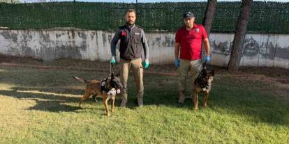 Hector Ve Mailo, Batman’da Uyuşturucu Tacirlerinin Korkulu Rüyası Oldu