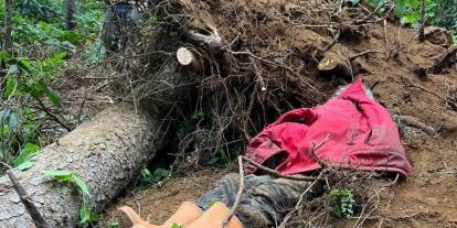 Kestiği ağacın altında kalan kişi hayatını kaybetti