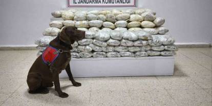 Van’da bir mahallede yapılan operasyonda 60 kilo uyuşturucu ele geçirildi