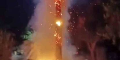 Kızıltepe'de 15 yıllık ağacı ateşe verdiler