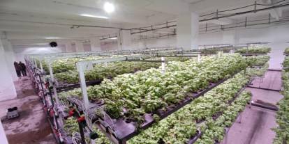 Batman'a eksi birinci katta topraksız dikey tarım yapılıyor