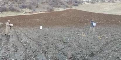 Arpalar Kar Yağmadan Toprakla Buluşuyor