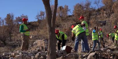 Bakan Bayraktar: Gabar’da Fidan Dikim Seferberliği Başlatıldı
