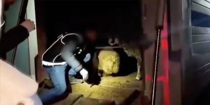 Komşu İlde Buda Oldu! Hayvanların Karın Boşluklarına Uyuşturucu Gizlediler