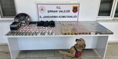 Şırnak’ta Kaçakçılık Operasyonu:113 Gözaltı, 11 Tutuklama