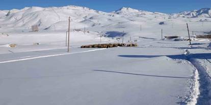 Şırnak'ta Bir Aile Koyunları İçin Dondurucu Soğukta Yaylada Kaldı