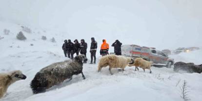 Çığ düşmesi sonucu 3 çoban kayboldu