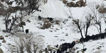 Midyat'ta kar ve tipi altında mahsur kalan çoban için ekipler seferber oldu