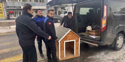 Cizre Belediyesi’nden Sokak Hayvanlarına Kış Desteği: İlçenin Dört Bir Yanına Barınak ve Mama Noktaları Kuruldu