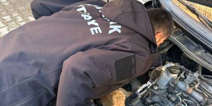 Şırnak’ta Araç Motoruna Saklanan Kedi Kurtarıldı