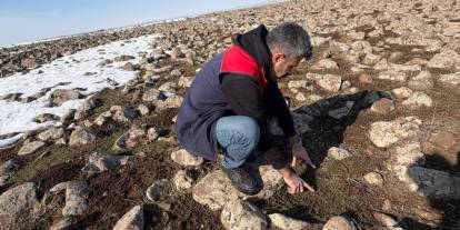Şırnak’ta Mera Islah Projesi Kapsamında Sahada İnceleme