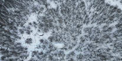 Şırnak Bal Ormanlarında Kartpostallık Görüntüler