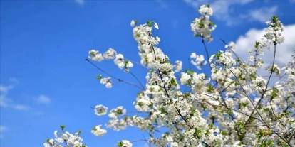 Baharın Müjdecisi Cemreler Ne Zaman Düşecek? Havaya, Suya ve Toprağa…