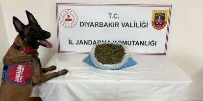 Jandarma ekipleri 41 Kilo Esrar Ele Geçirildi