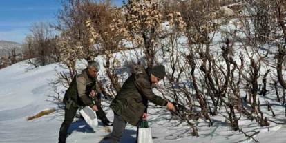 Gercüş’te Orman Ekibi Doğadaki Canlıları Yalnız Bırakmadı