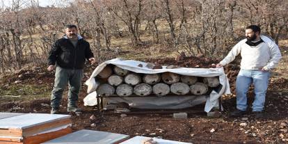 Şırnak Balı Dünyaya Açılıyor: Altın Lezzetin Yeni Durağı Londra