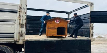 HAYTAP’tan Şırnak’taki Sokak Köpeklerine 17 Kulübe Desteği