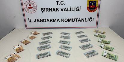 Şırnak’ta Jandarma Operasyonlarında 149 Gözaltı