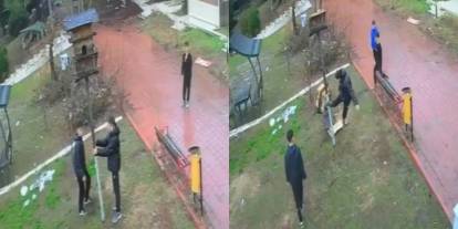 Kuş yuvasını parçalayan 4 çocuğa mahkeme ev hapsi cezası verdi