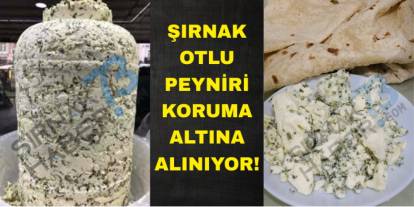 Şırnak Otlu Peyniri İçin Büyük Adım